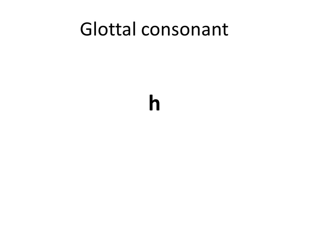 Glottal consonant h